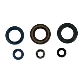 Kit paraolio motore ATHENA P400270400070 per Ktm