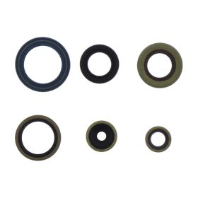ATHENA P400270400088 Motor Dichtungsset