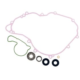 Kit de révision de pompe à eau ATHENA P400270475010