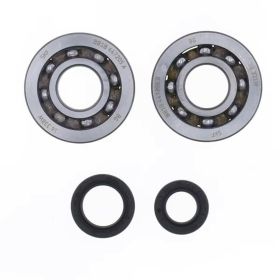 ATHENA P400420444001 SKF Kurbelwellen-Reparatursatz