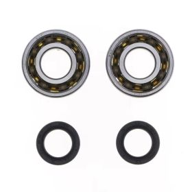 Kit de révision de vilebrequin ATHENA P400420444003 SKF pour Peugeot