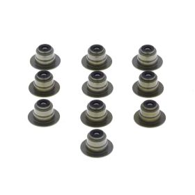 ATHENA P400427420017 Ventilführungs-Öldichtungs-Kit 10 für Polaris