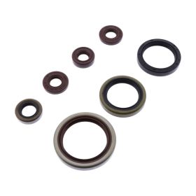 Kit guarnizioni paraoli motore ATHENA P400462400001 per Sherco SE