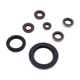 ATHENA P400462400002 Engine Seal Gasket Kit for Sherco SEF