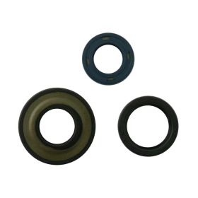 Kit paraolio motore ATHENA P400480400040 per Piaggio REVIVAL (V5R1T) 50