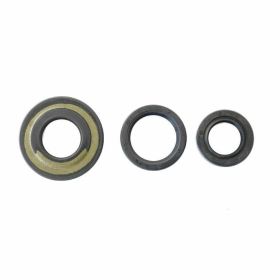ATHENA P400480400050/1 Motoröl-Dichtungsset für Piaggio