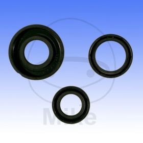 ENGINE GASKETS OIL SEAL P400480400050/1