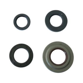ATHENA P400480400180 engine oil seal kit for Piaggio