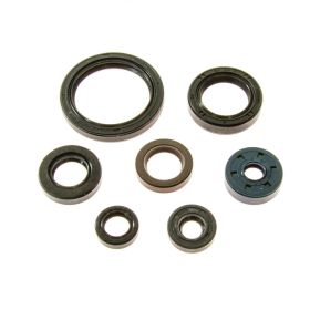 ATHENA P400485400188 Motor Dichtungssatz