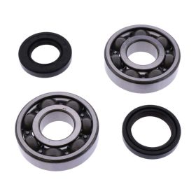 KIT CUSCINETTI ALBERO MOTORE 756.34.97