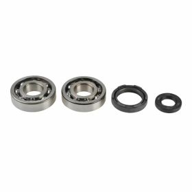 ATHENA P400485444251 KOYO Kurbelwellen-Überholsatz für Yamaha YZ 250