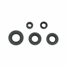 ATHENA P400510400002 Engine Oil Seal Kit for Suzuki