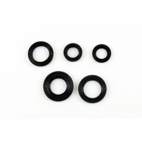 ATHENA Engine Seal Kit P400510400019