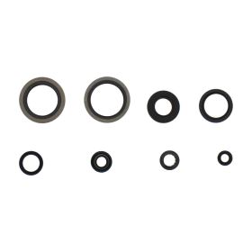 ATHENA P400510400252 Engine Oil Seal Gasket Kit for Suzuki RM 125