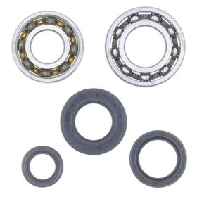 ATHENA P400510444001 SKF Kurbelwellen-Überholsatz