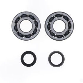 ATHENA P400510444049 KOYO Kurbelwellen-Überholsatz für Suzuki RM 250