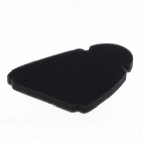 Filtre à air moto ATHENA S410510200007