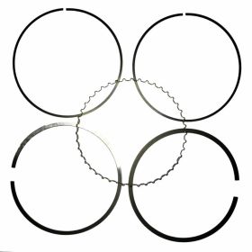ATHENA S41316119 Chromkolben Segmente Kit