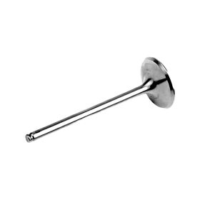ATHENA VI-485202T Titanansaugventil für Gas Gas/Yamaha
