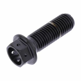PRO-BOLT Racing Hexagon Screw Stainless Steel M10x1.25 30mm Polished