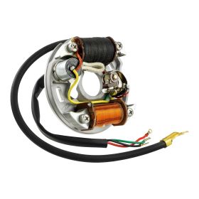 SIP Stator 6V/15W 2 coils on original cylinder for Vespa 50/N/L