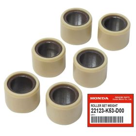 Rulli variatore HONDA D.23x18 - 19 gr
