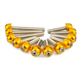 Viti coperchio variatore STR8 oro