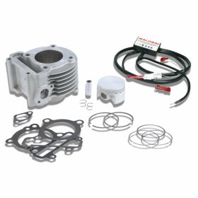 Haut moteur cylindre MALOSSI 3113792