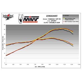 Silencieux Slip-On noir DOUBLE GUN homologué MIVV pour YAMAHA YZF R3