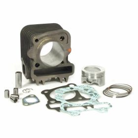 POLINI Thermal Group Hub 41,8 78,7cc Gusseisenzylinder