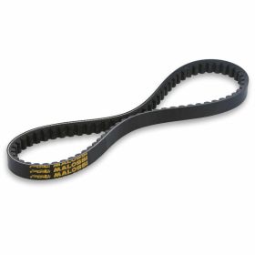 Courroie transmission moto MALOSSI 6117009
