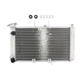 JMP Wasser-Radiator TRS-R-614 für Triumph TIGER