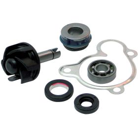 Kit reparation pompe à eau BCR 403460680
