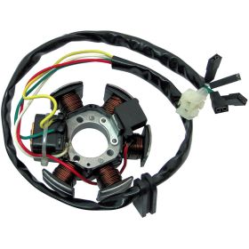 STATORE BCR PER MINARELLI AM6 (DUCATI)