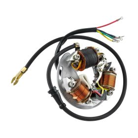 Statore SIP 6V 4 cavi verde/giallo/blu/rosso per Vespa 125 VNB
