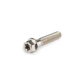 Stage6 R/T Titan Schrauben M6X30mm