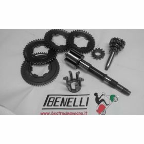 Kit BENELLI Cambio Gearbox con marce ingranaggio multiplo e albero primario 6 bracci