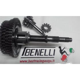 BENELLI 40433360 GEAR SHIFT