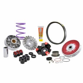 Variator kit MALOSSI 6115780