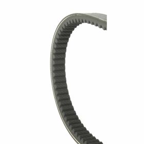 Courroie transmission moto MALOSSI 6116671