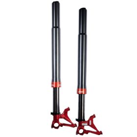 Complete BITUBO Fork D.52/58 mm 750 mm caliber 108mm Offset 15.8mm