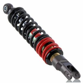 Ammortizzatore BITUBO posteriore 300 mm per moto con rapporto di prova TV