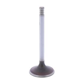 Original BMW Intake Valve 1134092