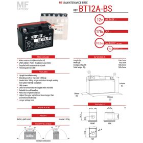 BATTERIE DE MOTO BS BATTERY 300602
