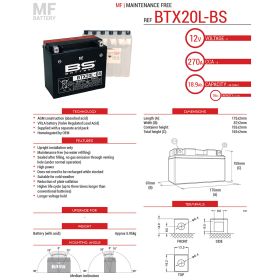 BATTERIE DE MOTO BS BATTERY 300610
