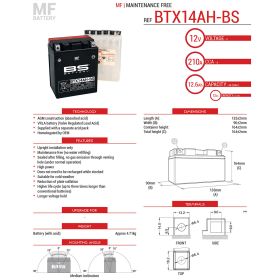 Batterie de moto BS BATTERY 300698
