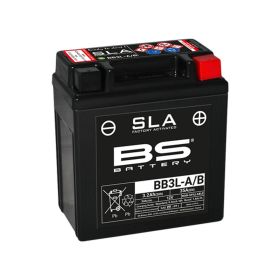 BATTERIE DE MOTO BS BATTERY 300842