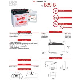 BS BATTERY 310596 MOTORCYCLE BATTERY