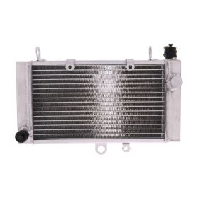 JMP Wasserheizkörper 2019040113 für Honda CBF