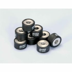 POLINI Variator-Rollen 25x15 14,0 g